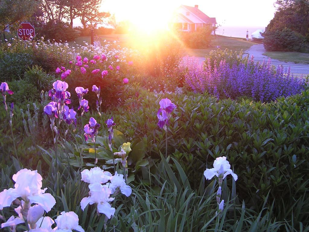 Shorecrest Bed And Breakfast Southold Eksteriør billede